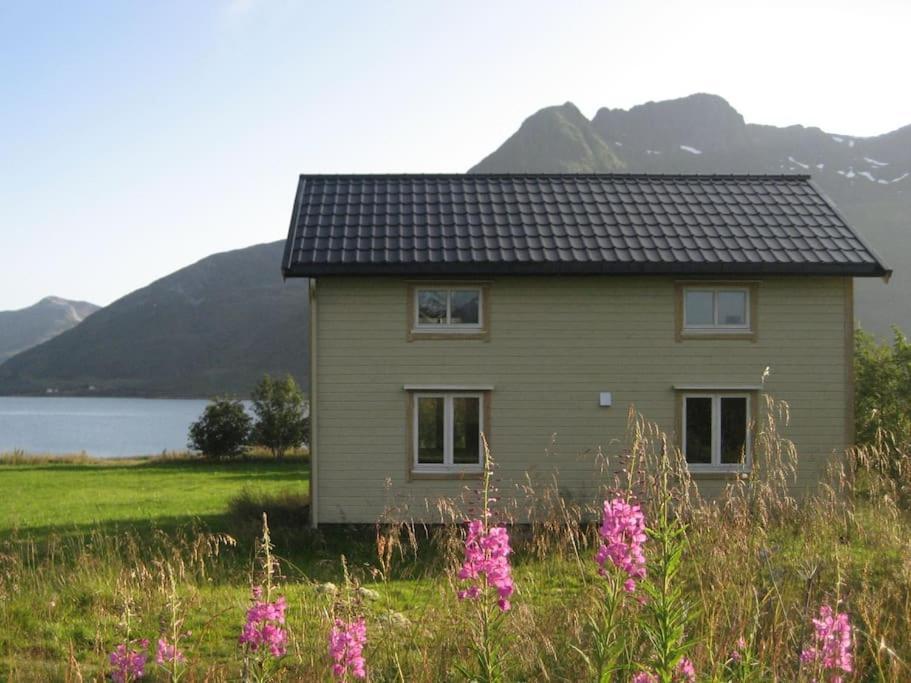 Charming House By The Sea, Lofoten! Laupstad Exterior photo